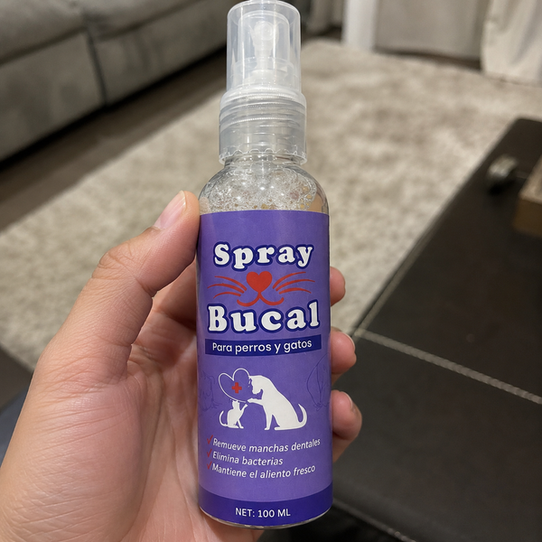 Luis review