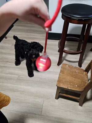 Foto de reseña